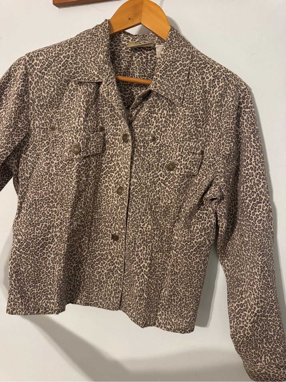 Leopard Print Button-Up Jacket - Picture 2 of 6